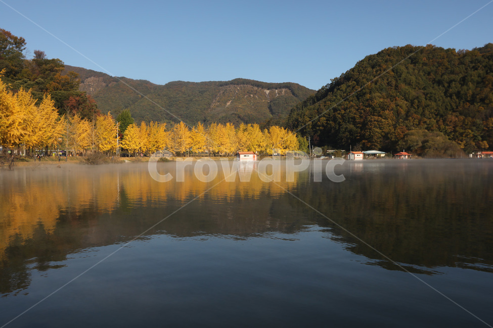 은행나무,반사,산,나무,물,가을,계절,fall,autumn,season,자연,풍경,nature,landscape,water,outdoors,옥외,lake,호수