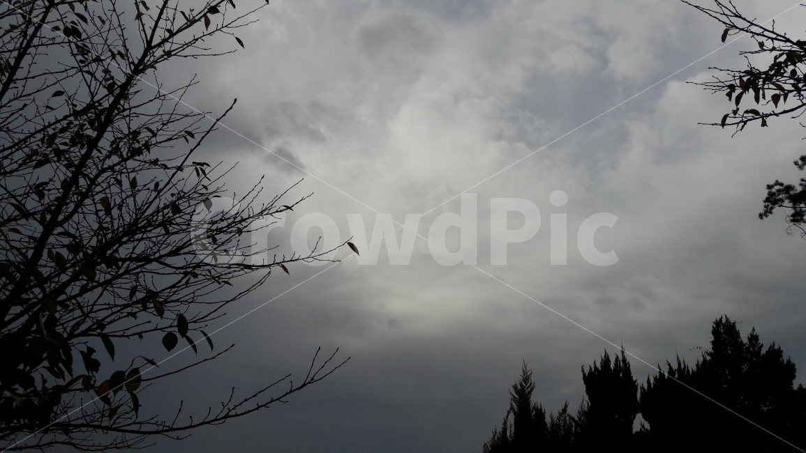 하늘,구름,나무,빛,조화,자연,풍경,nature,landscape,weather,날씨,tree,plant,식물
