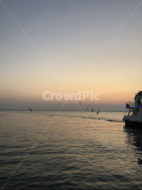 선박,watercraft,vehicle,바다,노을,석양,transportation