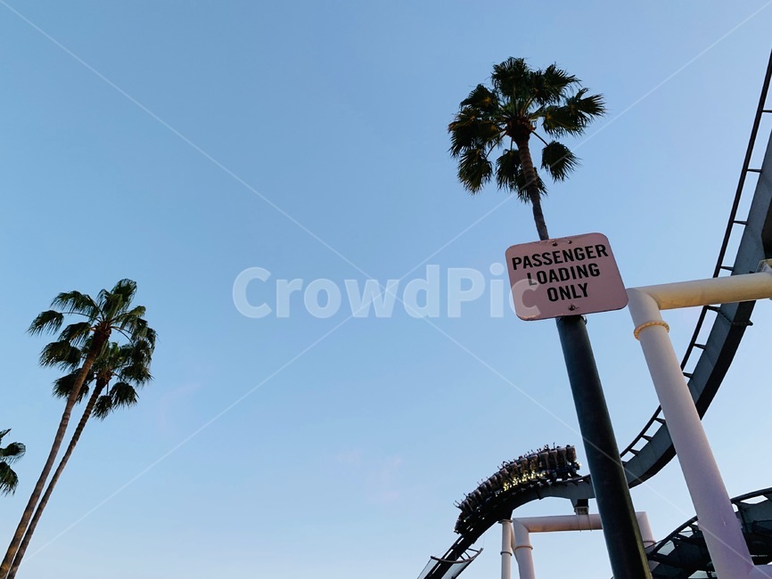 sky,Amusement park,Amusement Park,Roller Coaster,machine,tree,sign,sight,Overseas