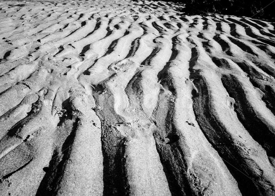 사막,모래,해변,모래사장,골짜기,자국,해변,바다,beach,sea,흑백,모노톤,monochrome,black and white