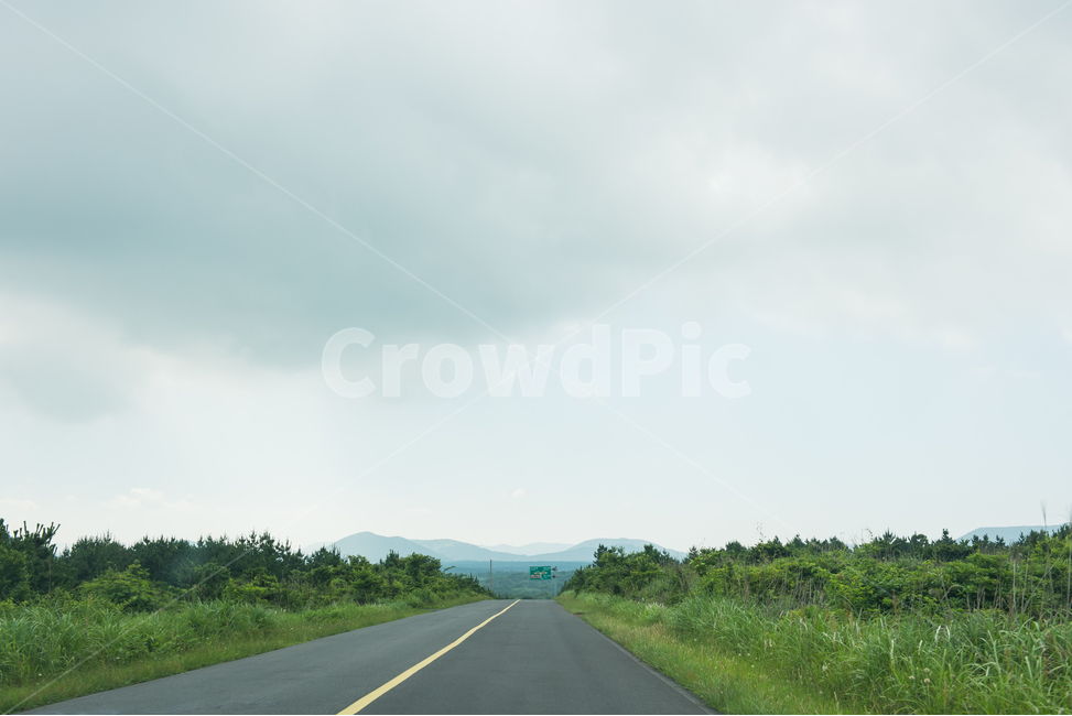 제주도,길,차도,구름,나무,숲,도로,자연,풍경,nature,landscape,road,highway,고속도로,freeway,고속 도로
