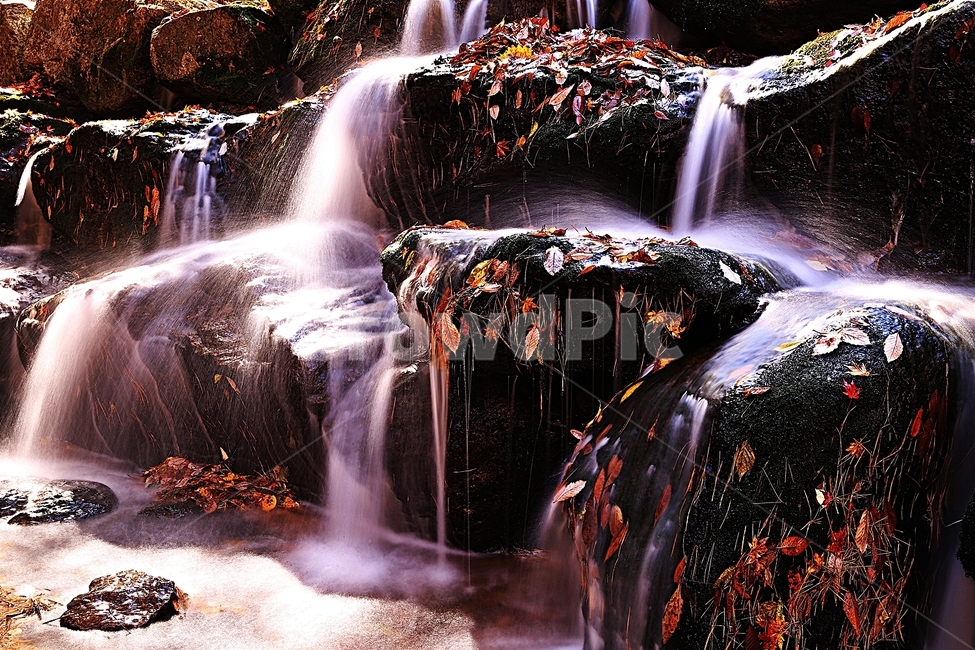 강천산,가을,순창,단풍,추색,가을,계절,fall,autumn,season,자연,풍경,nature,landscape,water,물,outdoors,옥외,river,강,waterfall,폭포
