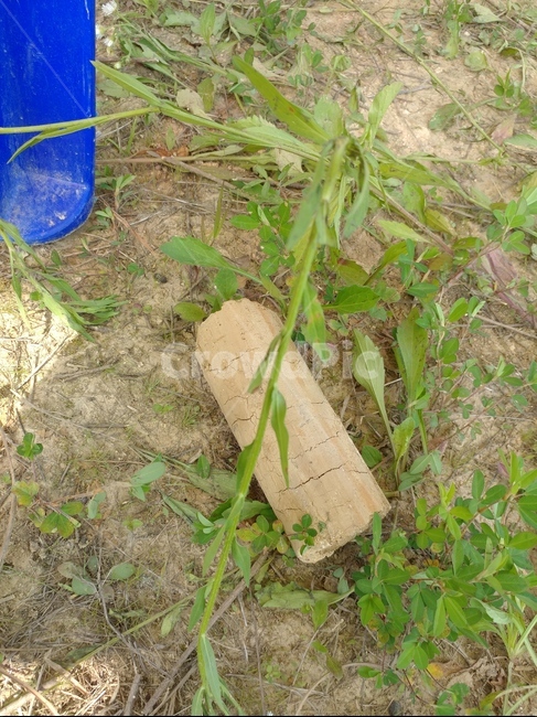 심층토,풀,흙,땅,모래,플라스틱,의자다리