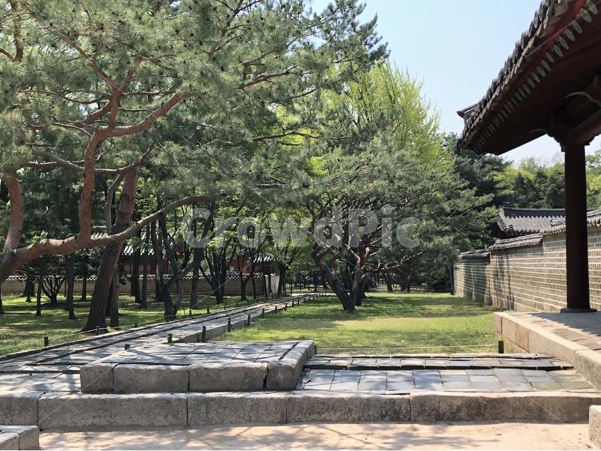 봄,풍경,고궁,자연,한국,한국전통,한국문화,korean traditional,korean culture,랜드마크,landmark,tourist attraction,한국랜드마크,한국관광지,한국명소,korea landmark,korea tourist attraction,식물,자연,plants,nature,나무,trees,wood