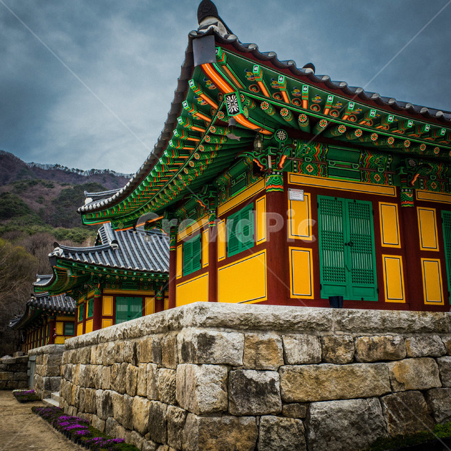 절,사원,temple,템플,불교,스님,대승,한국전통,한국문화,korean traditional,korean culture,건축물,건물외관,exterior,building,structure,architecture,construction