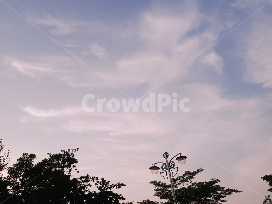 nature,자연,outdoors,옥외,실루엣,silhouette,weather,날씨,저녁,나무,구름,풍경,감성적,감성사진,풍경사진,하늘풍경,가로등,나뭇잎