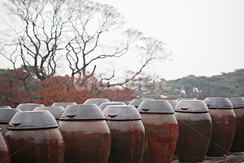 항아리,단지,옹기,단풍,낙엽,가을,자연,풍경,식물,뚜껑,항아리뚜껑,가을,계절,fall,autumn,season,한국전통,한국문화,korean traditional,korean culture