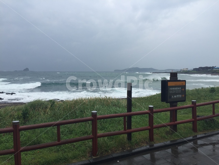 제주도,바다,태풍,구름,흐린하늘