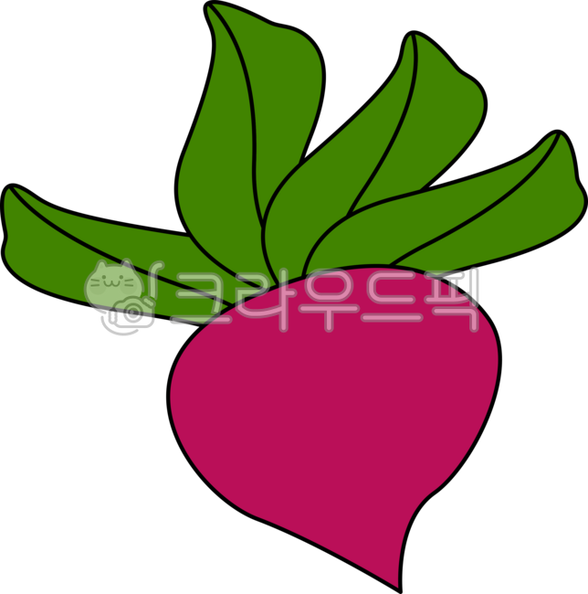 Red beet,vegetable,food,food,carrot,radish,vegetable,beet illustration,radish illustration,red vegetable,beet