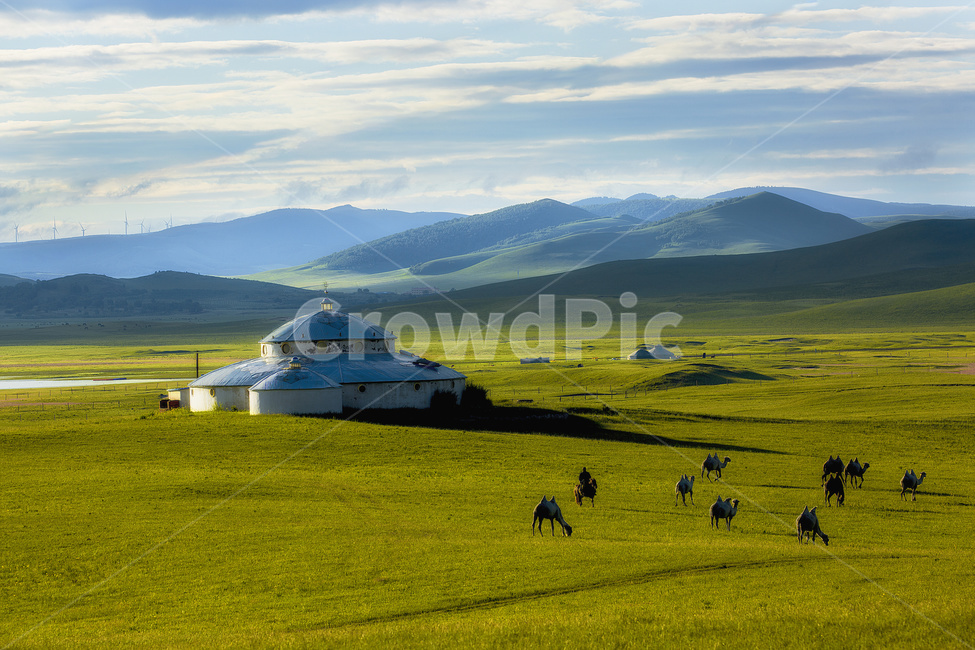 nature,자연,field,들,outdoors,옥외,grassland,목초지,rural,농촌,farm,농장,countryside,한지방,초원,자연,풍경,nature,landscape,해외,외국,세계,foreign,oversea,world,세계자연풍경,해외자연풍경,외국자연풍경,world nature landscape