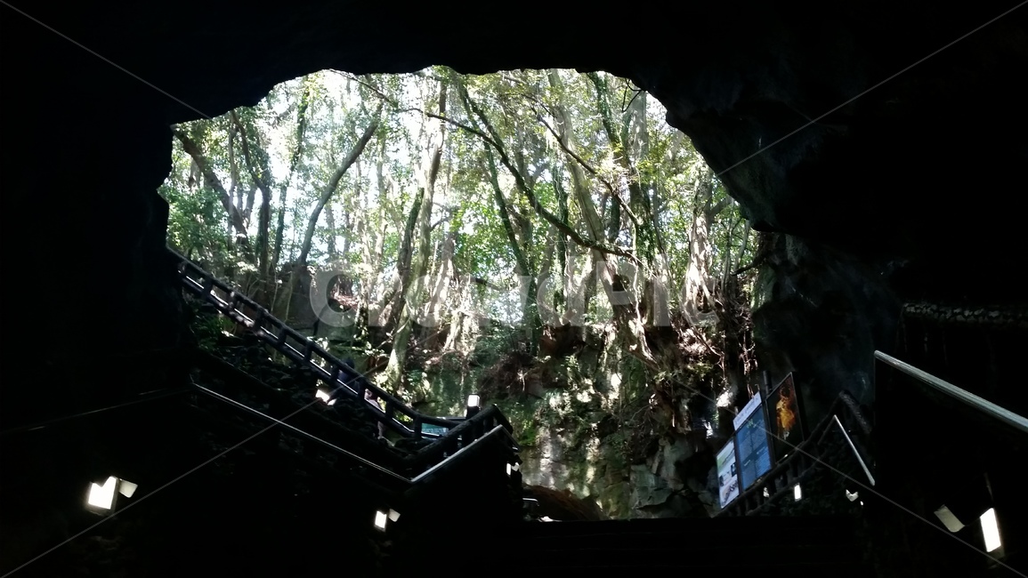 제주만장굴,만장굴입구,빛,굴,나무