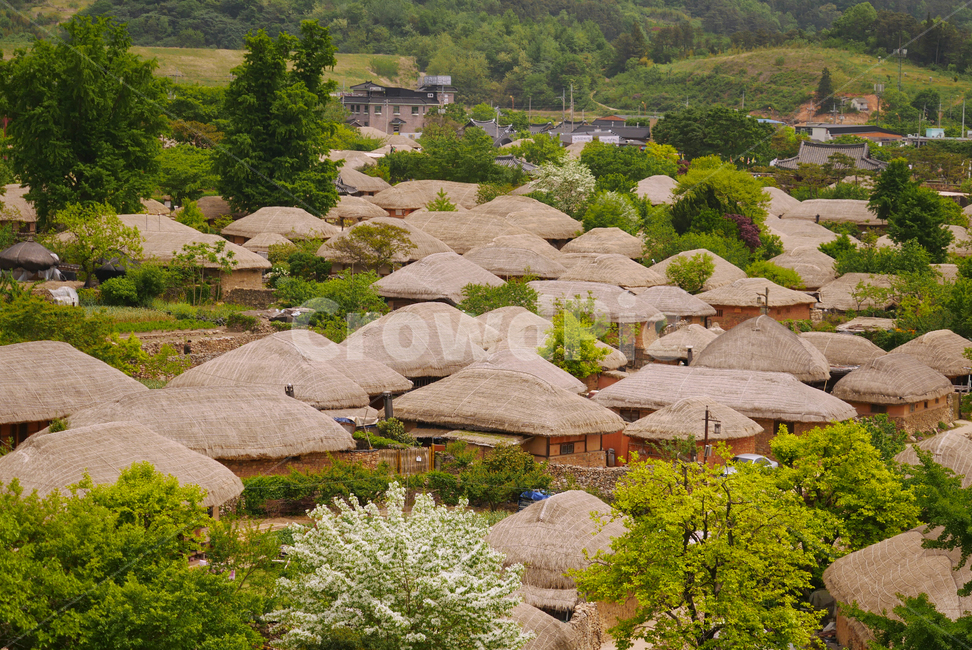 순천,낙안읍성,전통,마을,산,풍경,한국풍경,시골,한국전통,한국문화,나무