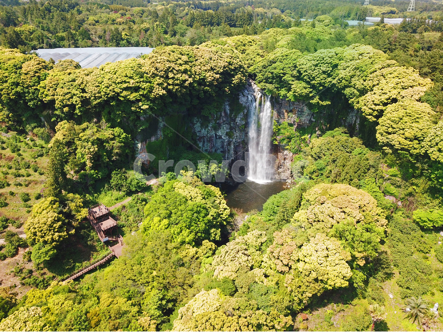 제주폭포,폭포,엉또폭포,서귀포폭포,비오는날폭포,자연,풍경,nature,landscape,제주도,jeju,jeju island,water,물,outdoors,옥외,river,강,waterfall,vegetation,초목,plant,식물