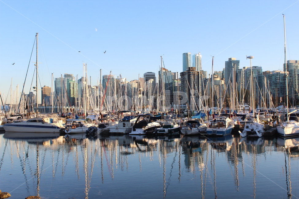 풍경,바다,배,벤쿠버,scenary,vancouver,downtown,도시,풍경,city,landscape,해외,외국,세계,foreign,oversea,world,세계도시풍경,해외도시풍경,외국도시풍경,world cityscape,교통,교통수단,traffic,transportation,water,물,marina,마리나,waterfront,워터 프론트,pier,교각,port,포트