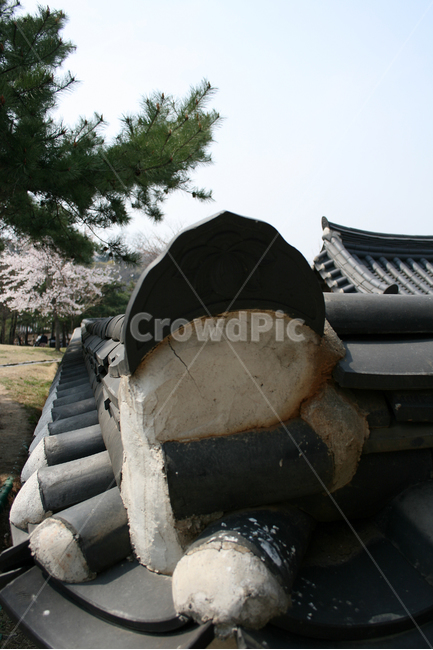 기와,지붕,기와지붕,한국,전통가옥,고택,한옥,한국전통,한국문화,korean traditional,korean culture,건축물,건물외관,exterior,building,structure,architecture,construction