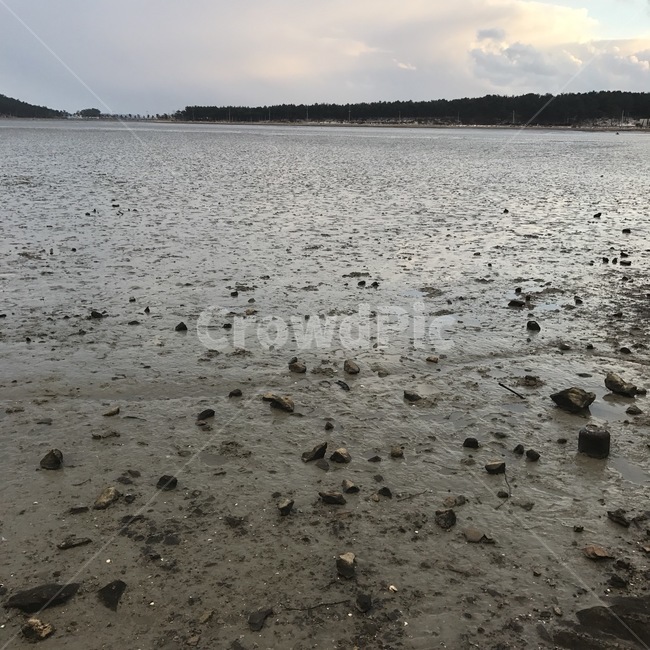 갯벌,뻘,자연,썰물,서해안,mudflat,mud,ecosystem,생태계,lowtide,자연,풍경,nature,landscape,ground,바닥