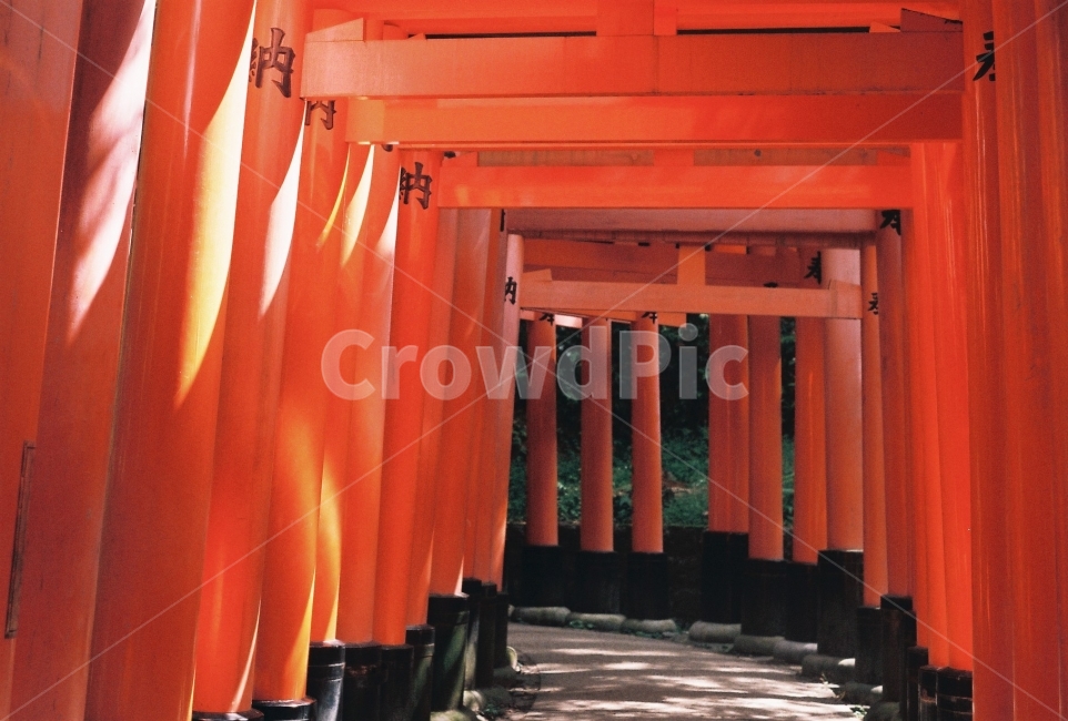 여우신사,건물양식,후시미이나리,신사,교토,일본,kyoto,필름사진,감성사진,랜드마크,landmark,tourist attraction,해외,외국,세계,foreign,oversea,world,세계랜드마크,해외랜드마크,외국랜드마크,world landmark,world tourist attraction,종교,신앙,religion,belief,faith,감성,sensible,feeling,gate,문,torii,도리