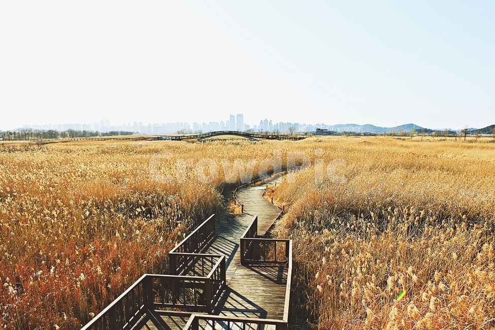 바라지다리,다리,생태공원,풍경,배경,자연,자연,풍경,nature,landscape,한국자연풍경,한국자연경관,korea nature landscape