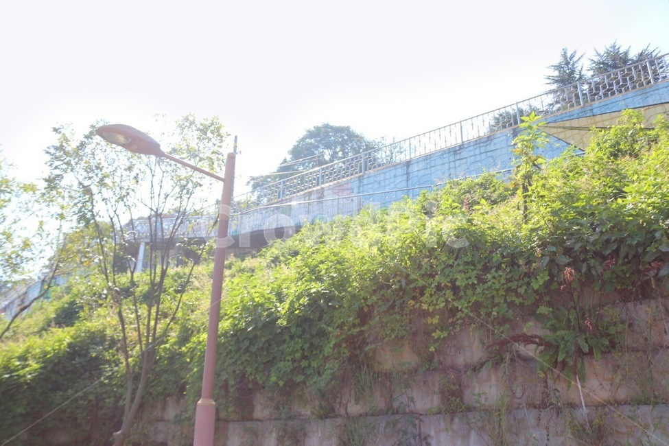 따뜻함,가로등,봄,풀,벽
