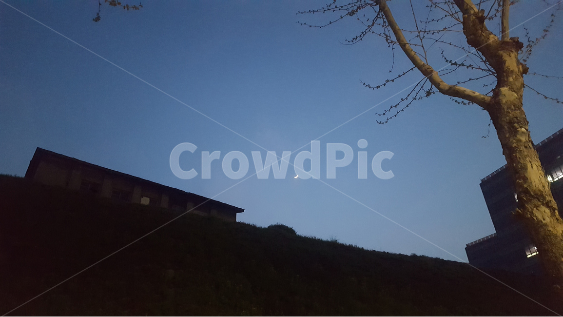 저녁,초승달,하늘,언덕,감성사진,집,도심,여유,야경,밤,풍경,nightscape,night,landscape,식물,자연,plants,nature,나무,trees,wood,outdoors,옥외