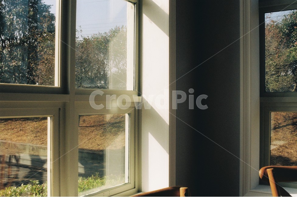 카페,창가,햇빛,필름카메라,season,cafe,건물내부,감성,sensible,feeling,인테리어,실내디자인,interior design