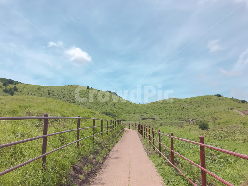 길,언덕,들판,제주도,자연,자연,풍경,nature,landscape