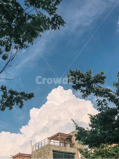 구름,필름사진,가을구름,여름구름,감성사진,여름,날씨