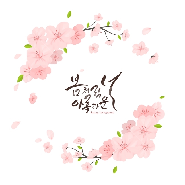 벚꽃,꽃,봄,프레임,식물,봄,계절,spring,season,캘리그라피,손글씨,calligraphy