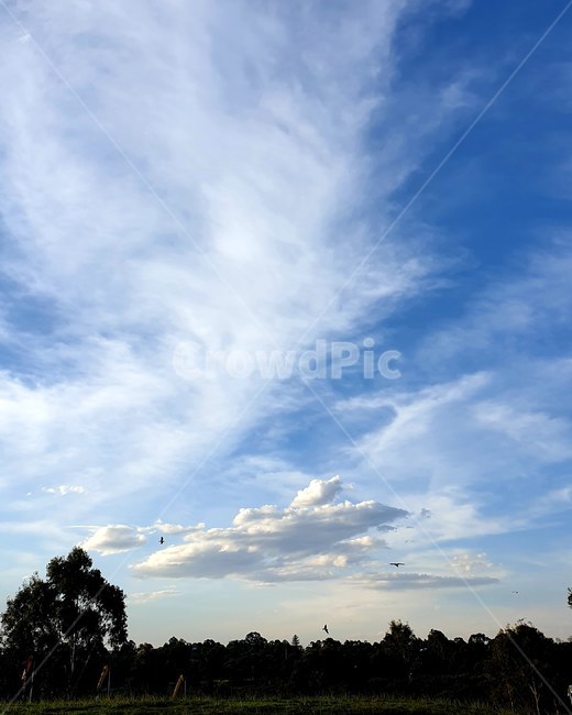 하늘,구름,파란,맑음,날씨,스카이,자연,풍경,nature,landscape,outdoors,옥외,sky