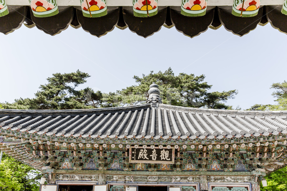 기와,문화재,단청,전통문화,건축,문양,전통기와,한국의미,지붕,한옥,전통가옥,추녀,처마,한국전통,한국문화,korean traditional,korean culture,랜드마크,landmark,tourist attraction,한국랜드마크,한국관광지,한국명소,korea landmark,korea tourist attraction,종교,신앙,religion,belief,faith,건축물,건물외관,exterior,building,structure,architecture,construction