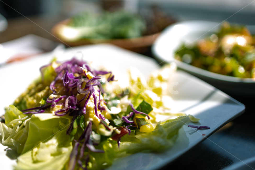 appetizer,background,closeup,cuisine,delicious,diet,dinner,dish,food,fresh,green,healthy,leaf,lettuce,lunch,meal,nutrition,organic,plate,salad,tasty,vegetable,vegetarian,white,음식,요리,샐러드,애피타이저,채소,야채,초록색,양상추,양배추,채식,건강식
