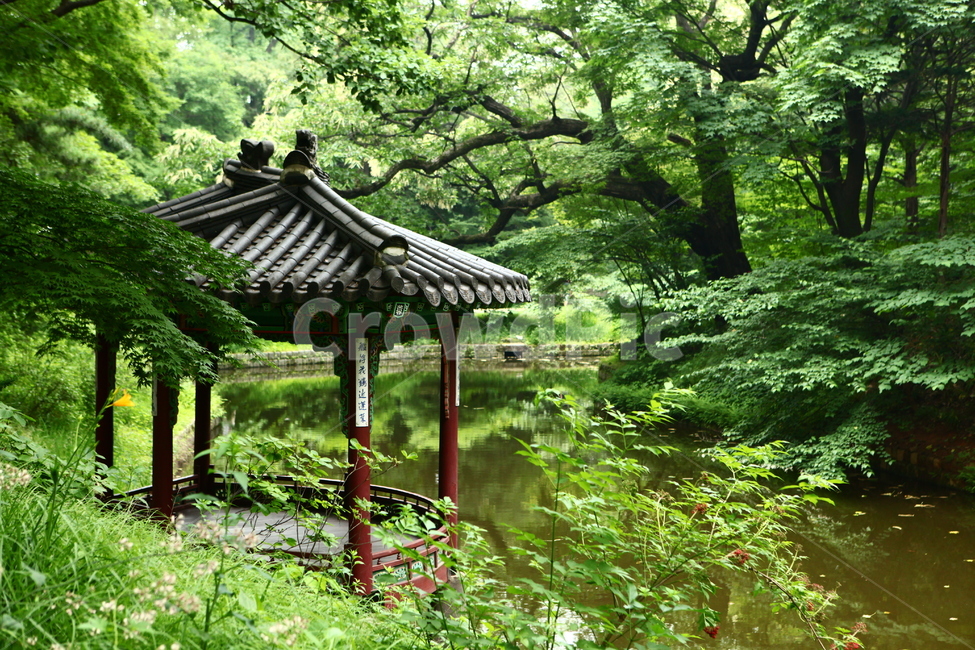 palace,pond,traditionalgarden,sperm,Korean traditional garden,Changdeokgung Palace Sponsorship,Hanok,Changdeokgung Palace,garden,support