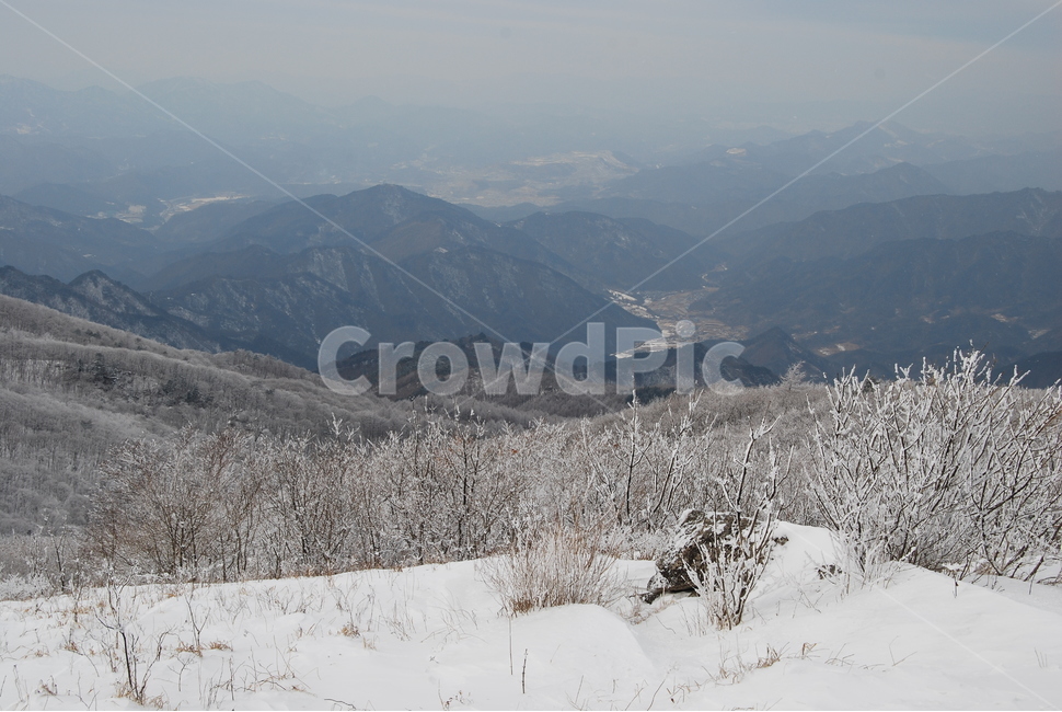 소백산,설경,한국산의아름다움,비로봉,눈꽃나무,자연의위대함,등산로,능선,아름다움,신비스런산,돌,산행,힐링,자연,감성,등산,계절,여행,한국,한국명산,한국등산,풍경,눈,나무,하늘,바람,바람소리,환경,생태계,산,땅,겨울,계절,winter,season,자연,풍경,nature,landscape,한국자연풍경,한국자연경관,korea nature landscape,plant,식물,tree,abies,아비,fir,전나무,outdoors,옥외