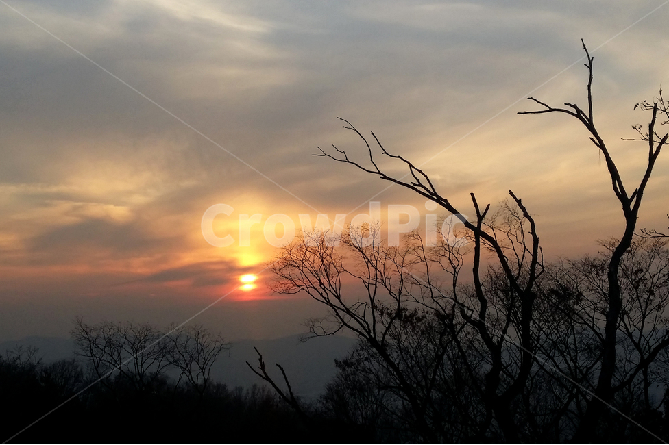석양,노을,판매,관악산,하루마무리,겨울,계절,winter,season,자연,풍경,nature,landscape,식물,plants,나무,trees,wood,실루엣,그림자,silhouette,shadow,outdoors,옥외,sky,하늘,dusk,황혼,dawn,새벽,red sky,붉은 하늘,sunset,일몰