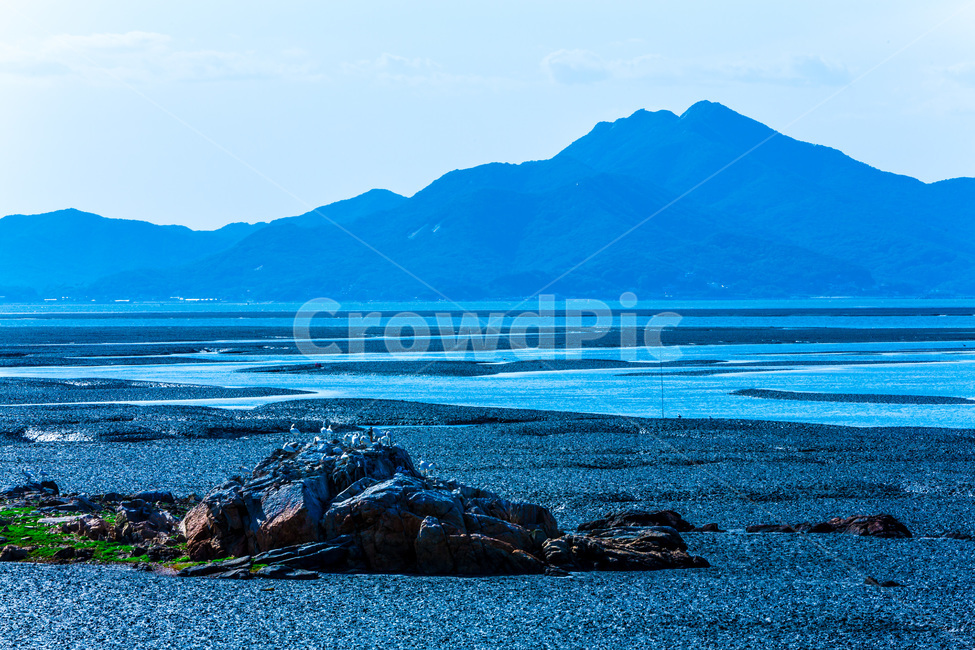 영종도,갯벌,환경,썰물,문양,무늬,감성,철새,자연,풍경,nature,landscape,한국자연풍경,한국자연경관,korea nature landscape