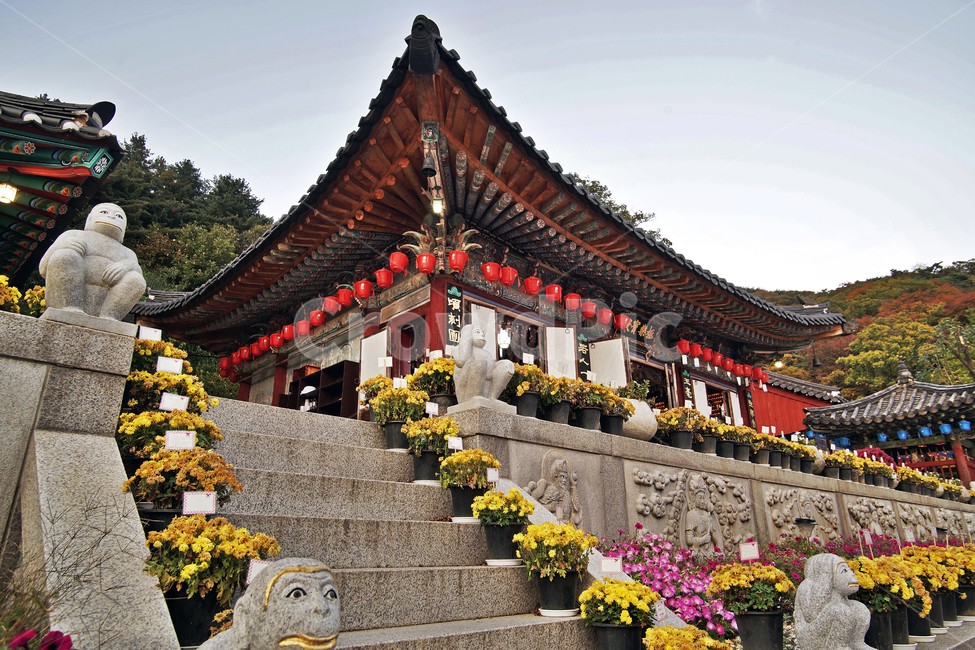 청계사,사찰,불교사찰,의왕시,극락보전,아미타불,한국전통,한국문화,korean traditional,korean culture,종교,신앙,religion,belief,faith