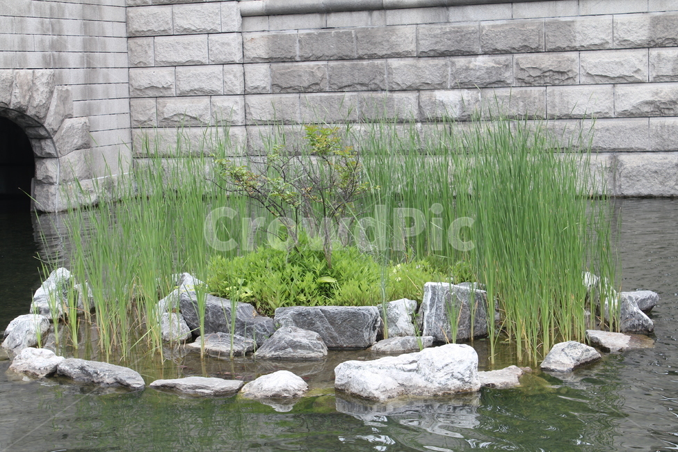 자연,풍경,장면,아름다움,물,분수,도시,풍경,city,landscape,식물,자연,plants,nature,water,outdoors,옥외