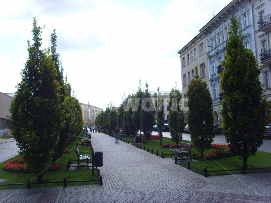 나무,산책로,벤치,중세스타일,대리석건물,도시,풍경,city,landscape,해외,외국,세계,foreign,oversea,world,세계도시풍경,해외도시풍경,외국도시풍경,world cityscape,path,통로,walkway,보도,plant,식물,tree,furniture,가구,bench,flagstone,판석,abies,아비,fir,전나무