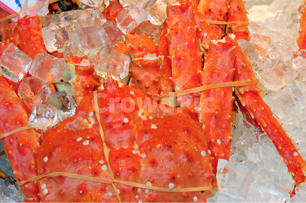 게,털게,대게,바닷게,바다게,크랩,킹크랩,수산물,해산물,해물,음식,식재료,얼음,신선한,싱싱한,북해도,홋카이도,특산물,명물,음식,식재료,요리,food,cook,meal,dishes,food reserves,수산물,해산물,fishery products,seafood