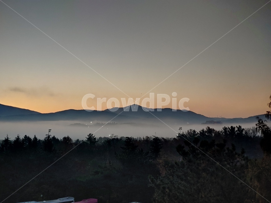 안개,새벽,일출,해무,아침안개,자연,풍경,nature,landscape