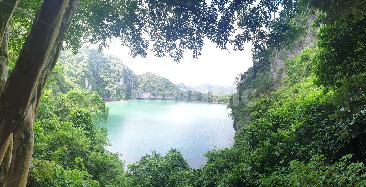 숲속,호수,자연,nature,forest,lake,풍경,tree,나무,바위,나뭇잎,나뭇가지,빛나는,햇빛,빛반사,bough,sunlight,shine,lightreflex,leaf,rock,단단한,hard,landscape,자연,풍경,nature,landscape,outdoors,옥외,vegetation,초목,plant,식물,water,물