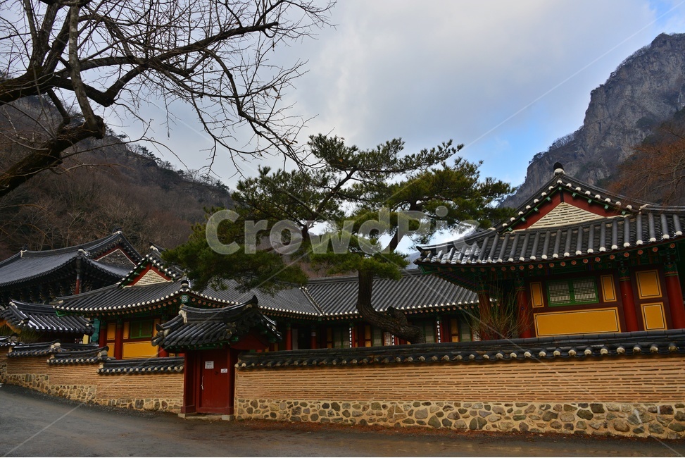 flagstone,판석,path,통로,walkway,보도,building,건물,architecture,건축물,roof,nature,자연,outdoors,옥외,장성,백양사,사찰,불교,종교,유적지,문화재,담장,돌담장,지붕