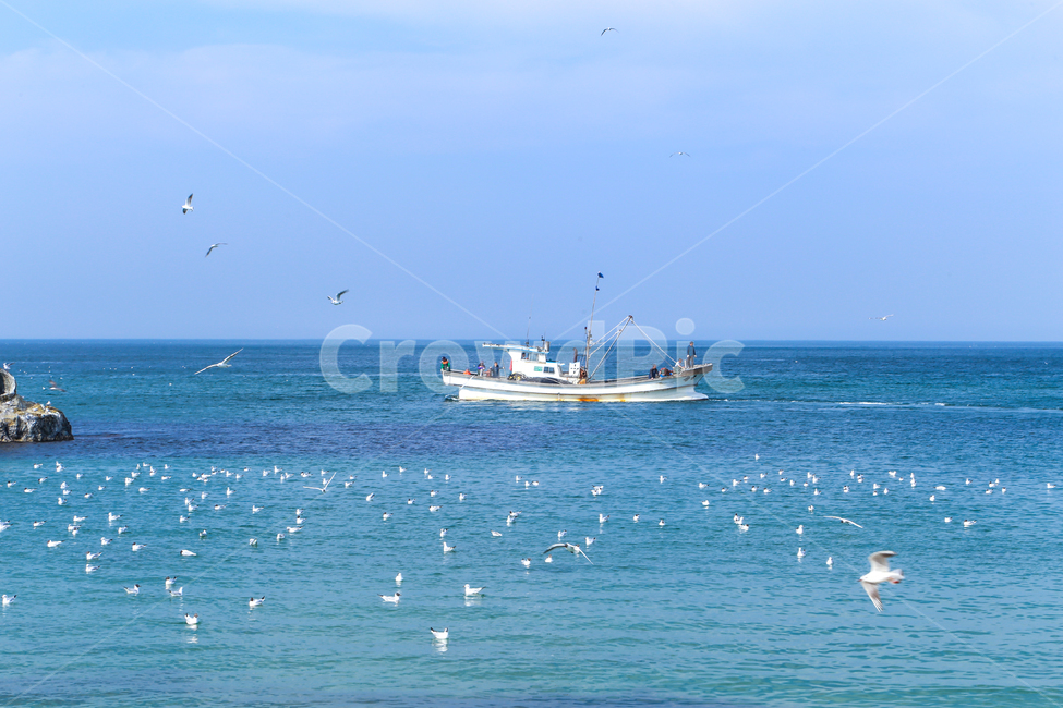바다,여름,파도,자연,하늘,구름,sea,ocean,beach,summer,wave,sky,cloud,gull,seagull,갈매기,새,bird,배,어선,보트,선박,boat,ship,어업,fishery,fishing industry,교통,교통수단,traffic,transportation
