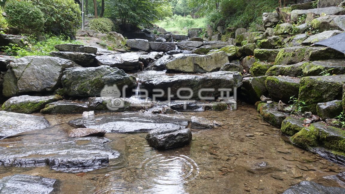 물,자연,계곡,남한산성계곡,바위,돌,풀,나무,water,nature,outdoors,옥외