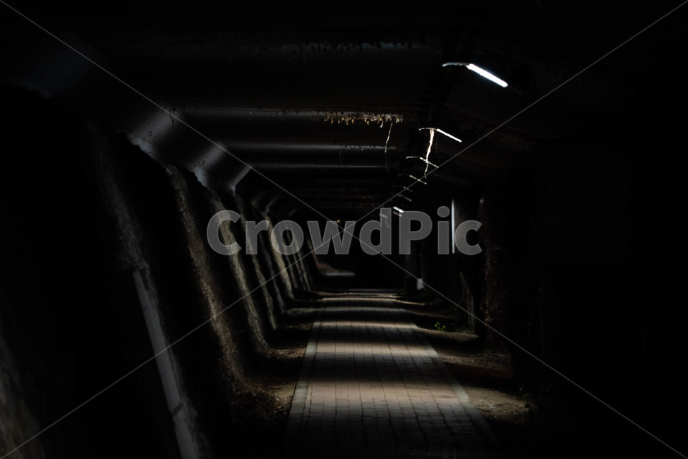 path,밤,야간,감성사진,야간길,밤길,산책로,산책길,길,night,walking,어둠,dark