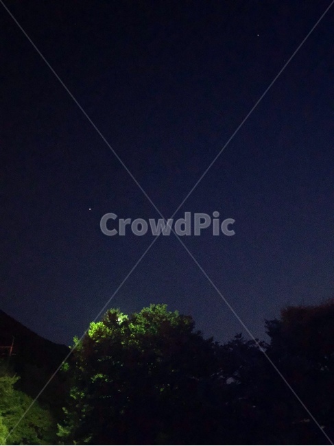 나무,풍경,감성사진,밤,하늘,야경,밤,풍경,nightscape,night,landscape,nature,자연,outdoors,옥외
