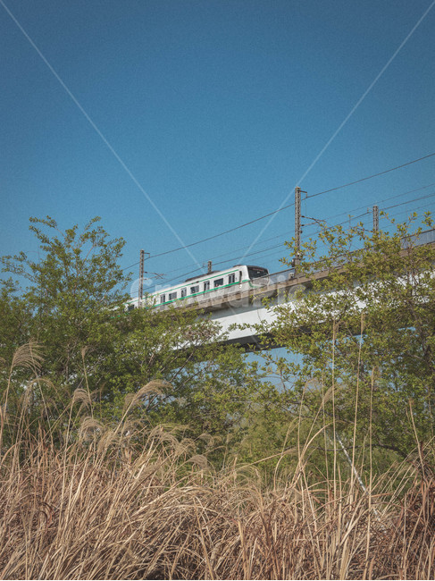 봄,푸른하늘,지하철,한강대교,선유도,green,spring,seoul,sunyoudo,sky,bluesky,greenleaf,감성,갈대,subway,전철