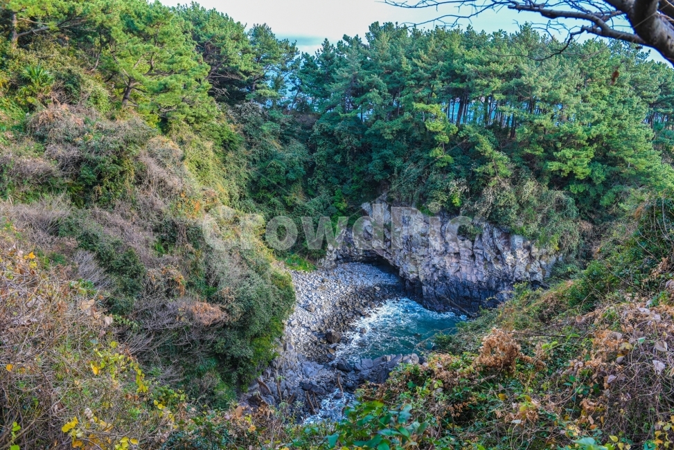 제주도,제주도풍경,바다,해변,외돌개,올레길,자연,풍경,nature,landscape,한국자연풍경,한국자연경관,korea nature landscape,제주도,jeju,jeju island,bush,부시,vegetation,초목,plant,식물,outdoors,옥외,tree,나무