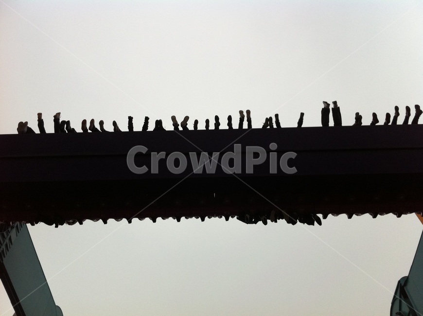 dizzy,silhouette,crow,Gyro Drip,Rides